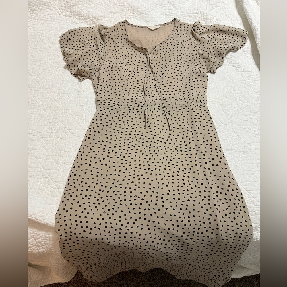 Roolee Dress